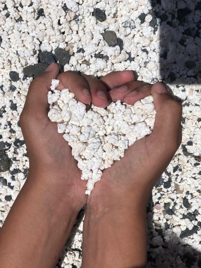 Paulalucia Lägenhet Costa De Antigua Exteriör bild